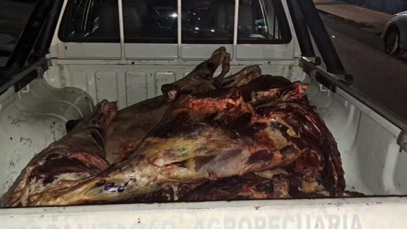 Mais de 200 kg de carne bovina clandestina são apreendidos em Teresina