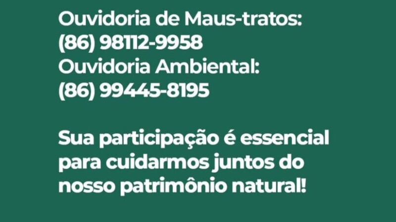 Semarh recebe 420 denuncias de maus-tratos a animais no último trimestre, quase 15% foram feitas de outros estados