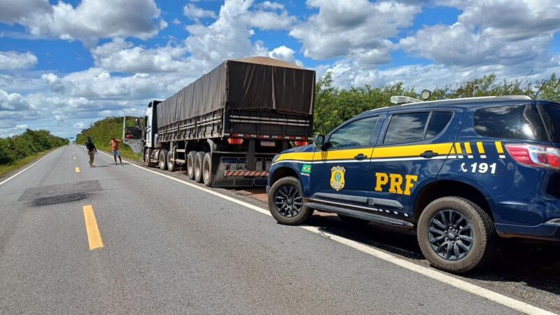 PRF intensifica combate ao desmatamento: operação flagra madeira ilegal, drogas e fraude documental