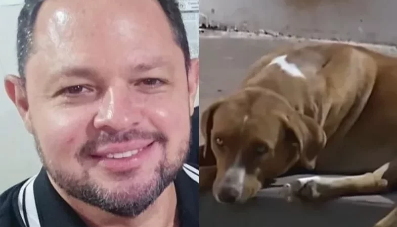 Comovente: Cachorra de delegado morto em operação espera por ele em delegacia