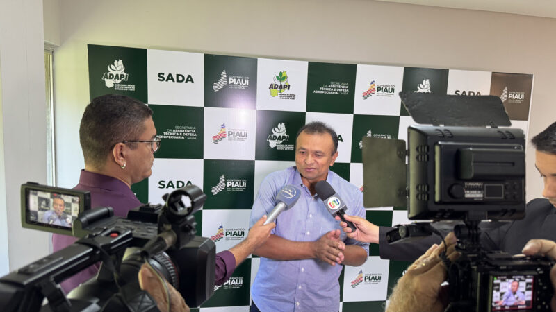 Adapi investiga mortes de animais no Piauí após uso de vacina contra clostridioses