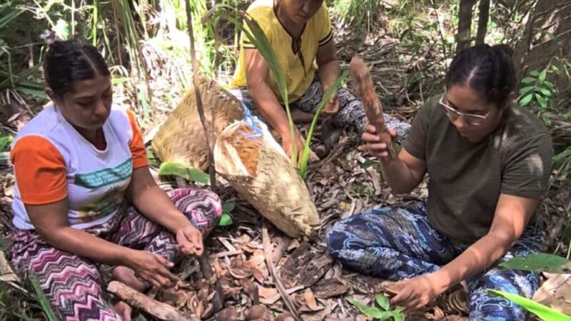 No Piauí, quebradeiras vão criar primeira fábrica de sabonetes artesanais feitos com óleo de coco babaçu