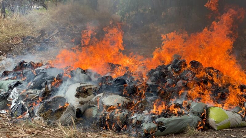 Polícia Civil incinera mais de uma tonelada de drogas em Teresina