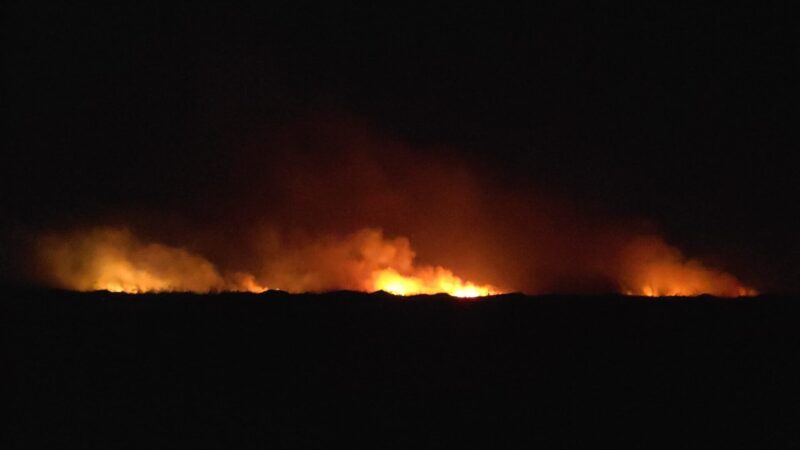 Corpo de Bombeiros do Piauí registra cerca de 900 ocorrências de combate a fogo em vegetação em todo o estado