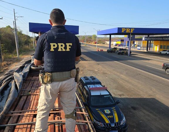 PRF apreende 40 m³ de madeira nativa transportada sem licença ambiental em Teresina