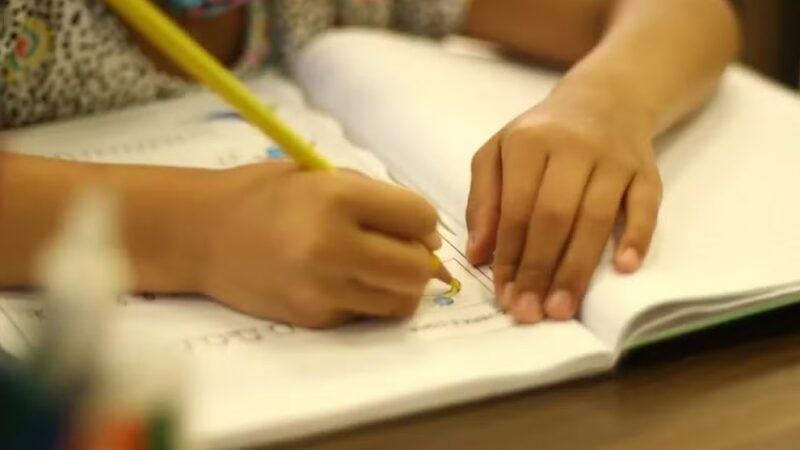 Piauí é único estado brasileiro em que 100% das crianças de quatro e cinco anos frequentam a escola, aponta levantamento