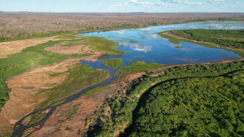 Dia Mundial dos Rios: Piauí reforça preservação de nascentes e repovoamento de peixes nativos