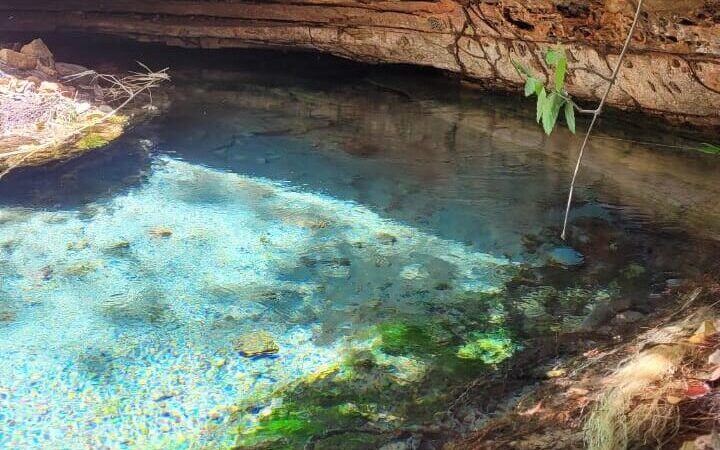 Secretaria do Meio Ambiente inicia monitoramento de nascentes no Piauí a partir de Ribeiro Gonçalves