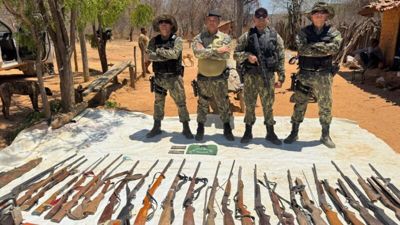 Operação conjunta resulta na apreensão de armas, animais silvestres e aplicação de mais de R$ 110 mil em multas