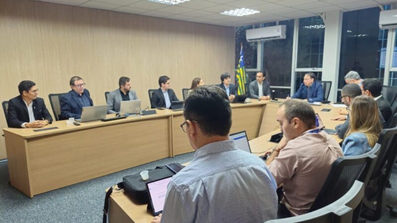 Pelo segundo ano consecutivo, Tesouro Nacional atesta boa capacidade de pagamento do Piauí com nota B+