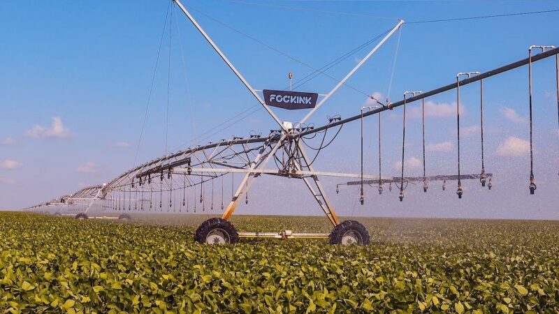 Piauí ocupa 5ª posição em exportações no Nordeste e lidera no país na venda de mel natural