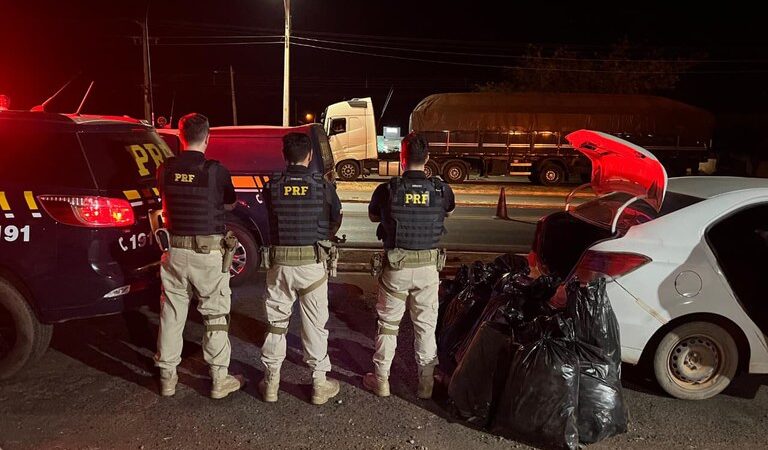 PRF apreende quase 100 kg de maconha durante fiscalização na BR-316 em Picos