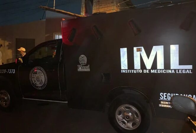 Idoso de 67 anos morre após ser atropelado por ônibus na BR-343, em Piripiri