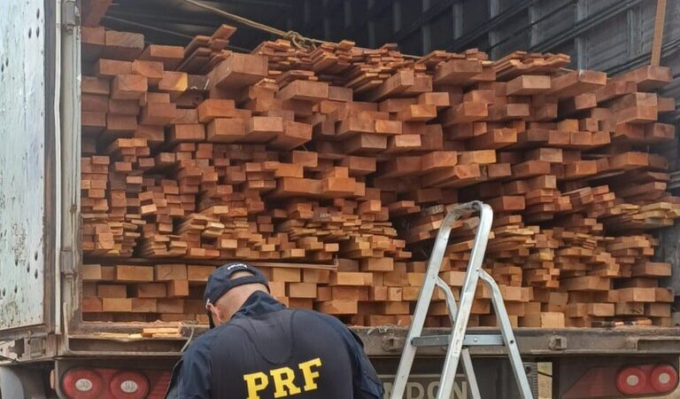 PRF apreende 37 m³ de madeira serrada irregular durante fiscalização em Picos