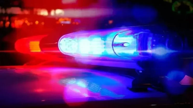 Homem é preso após agredir mãe e padrasto em Pedro II