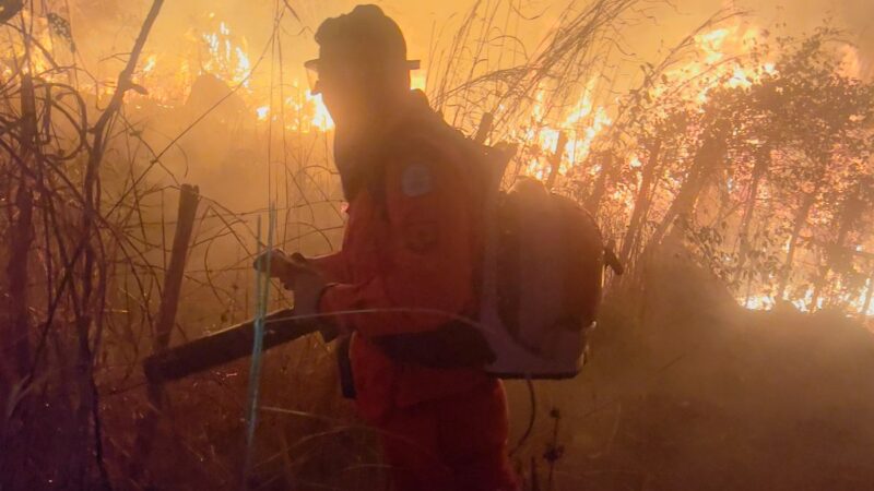Piauí amplia prazo de proibição de queimadas e anuncia novas medidas