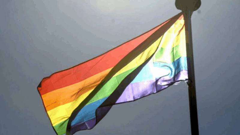 Piauí registra quase 8 mil uniões entre pessoas do mesmo sexo, segundo o IBGE