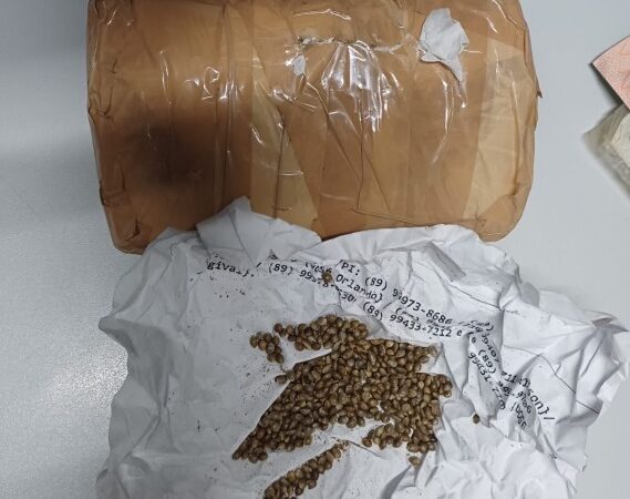 PRF detém dois homens com material para plantio de maconha