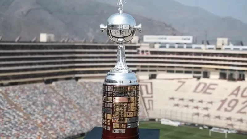 Palmeiras ou Flamengo? Gato vidente prevê campeão da Libertadores