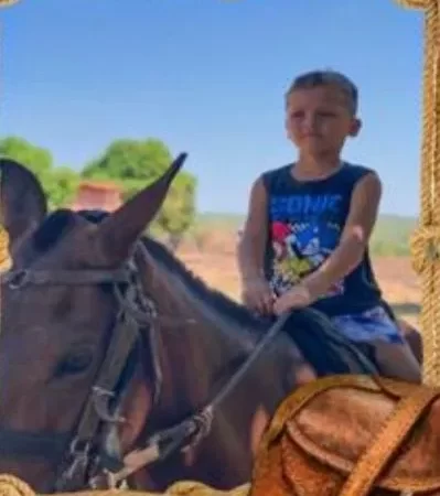 Campanha solidária arrecada doações para criança arrastada por cavalo em Pedro II