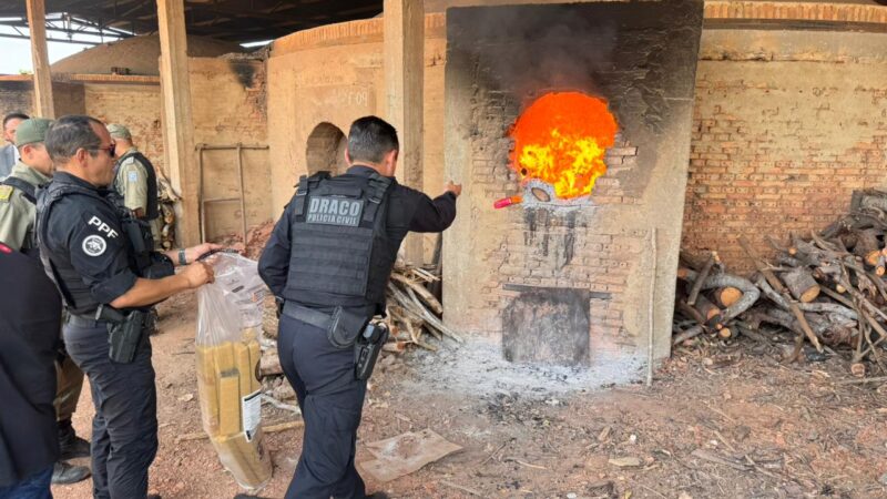 Secretaria de Segurança incinera aproximadamente 1 tonelada de drogas apreendidas no litoral do Piauí