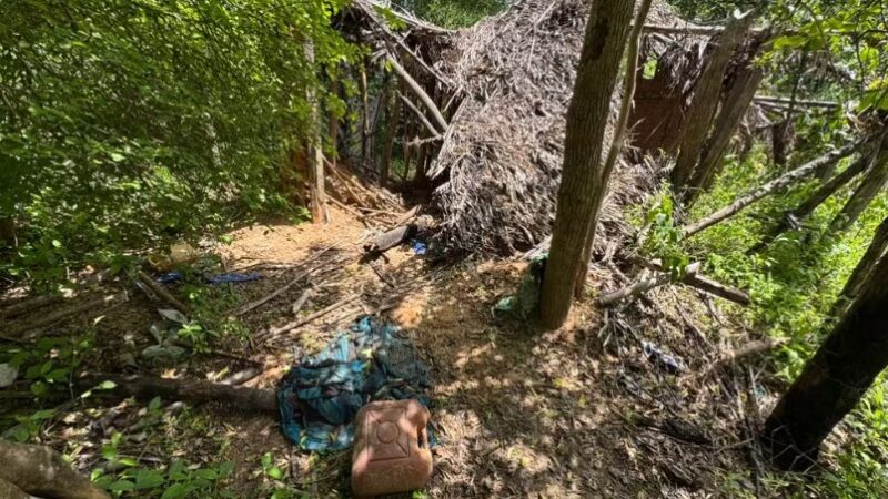 Após relato de menino de 8 anos, cães farejadores indicam que crianças desaparecidas estiveram em casa abandonada no MA