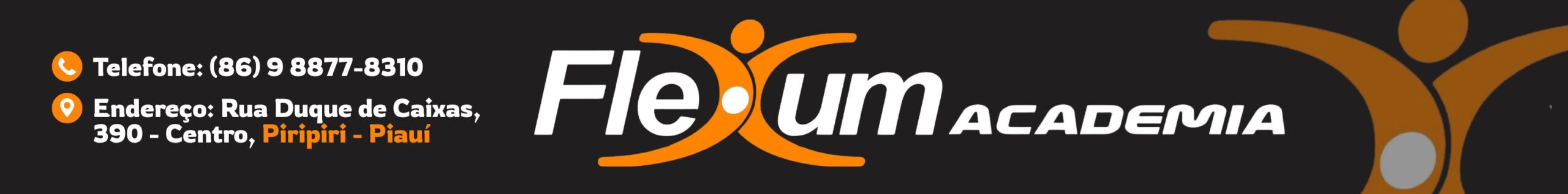 FLEXUMACADEMIA Home 1